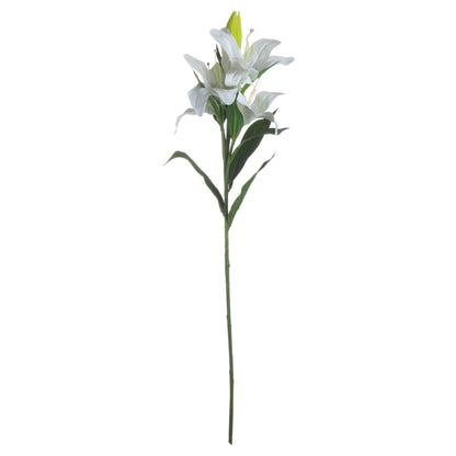 White Lily