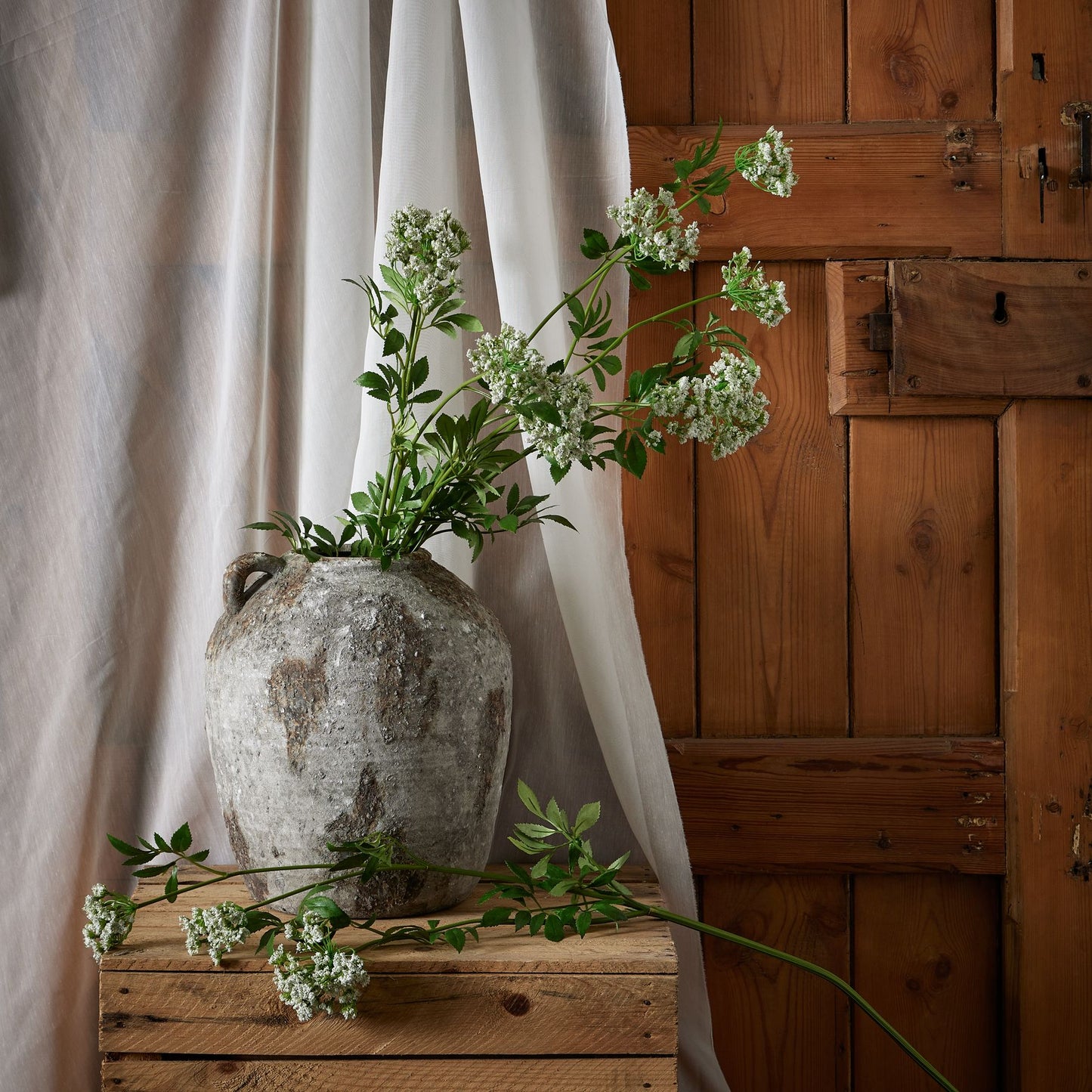 Faux White Cow Parsley Ammi